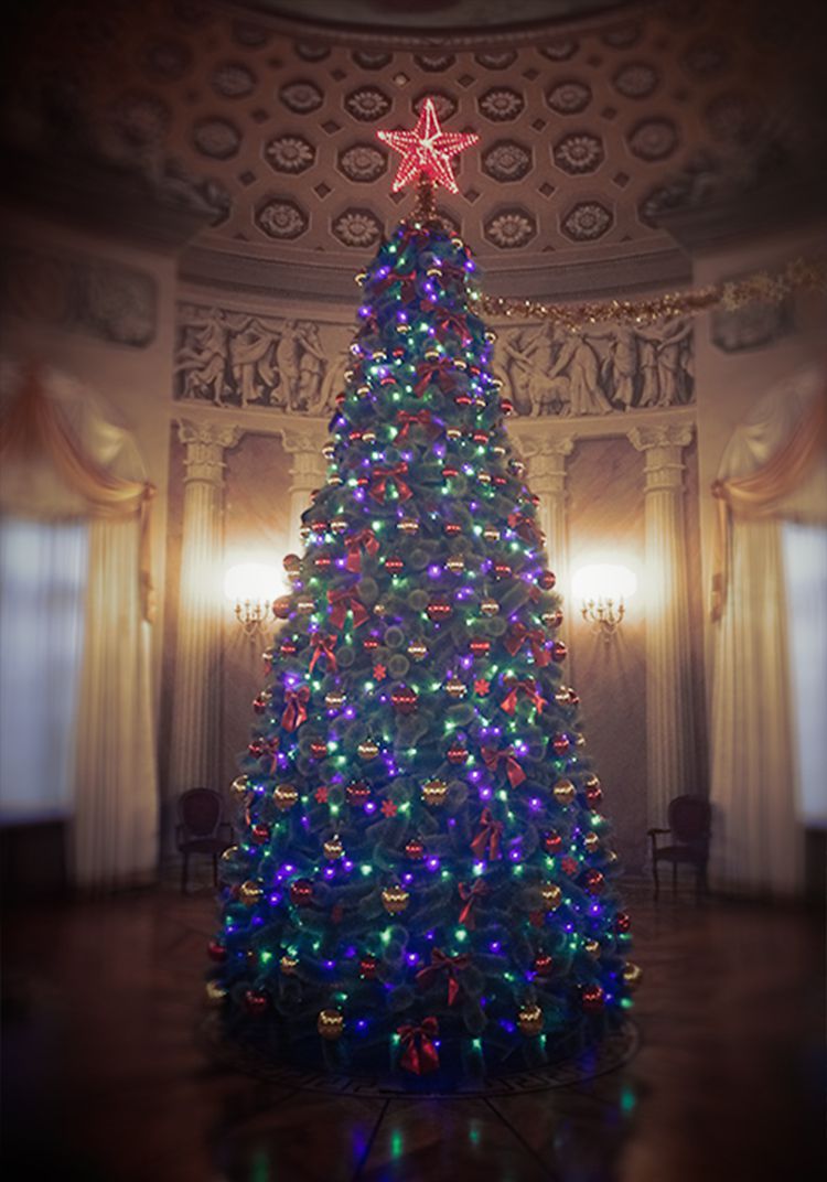 Новогодние елки и ели