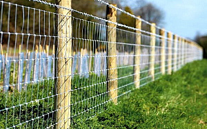 Сетка для ограждения фермерская (ДФЛ) 2000 / 17