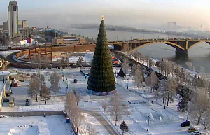 Большая уличная елка  от 32 до 115 метров