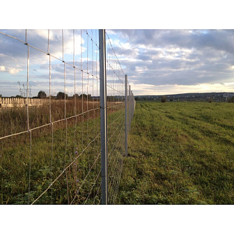 Сетка для ограждения фермерская (ДФЛ) 1600 / 15