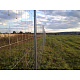 Сетка для ограждения фермерская (ДФЛ) 1600 / 15