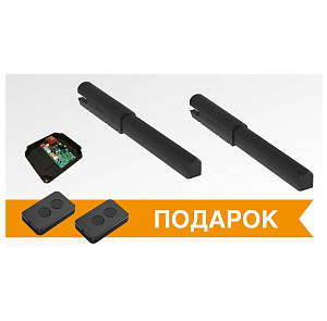 Комплект привода SW-5000PRO с блоком SW-mini и 2-мя пультами