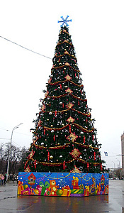 Ель ствольная 6 метров